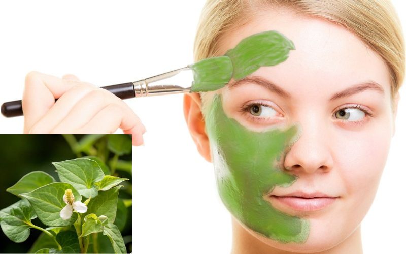 Nên đắp mặt nạ diếp cá mấy lần 1 tuần để da sáng đẹp?