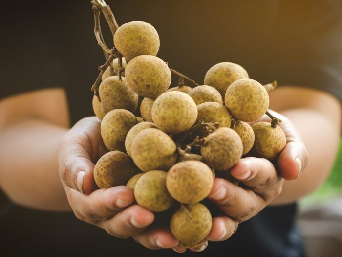 Ăn bao nhiêu quả nhãn mỗi ngày để không bị nổi mụn