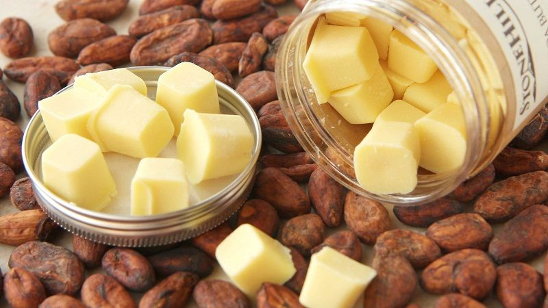 Bơ Cacao Phục Hồi Da: Giải Pháp Tự Nhiên Cho Làn Da Mịn Màng Không Tỳ Vết
