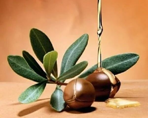 Công Dụng Dầu Argan Với Da: Bí Quyết Chống Lão Hóa Tự Nhiên