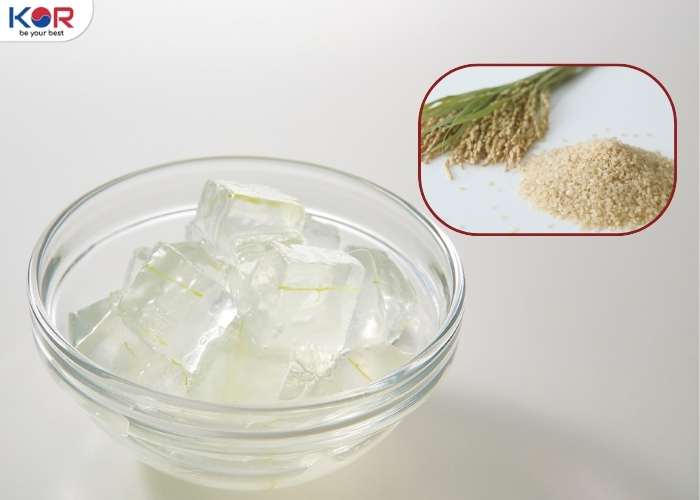 Mask Gạo + Lô Hội Homemade: Xóa Nếp Nhăn & Tái Tạo Da Mềm Mại
