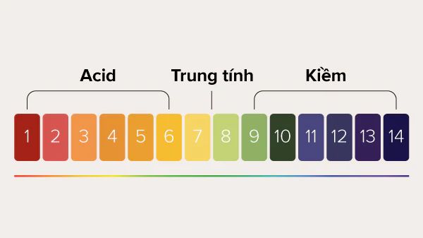 Tầm quan trọng của độ pH trong sản phẩm chăm sóc da