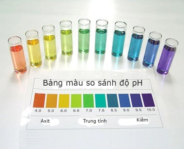 Độ pH trong sản phẩm chăm sóc da: chìa khóa vàng cho làn da