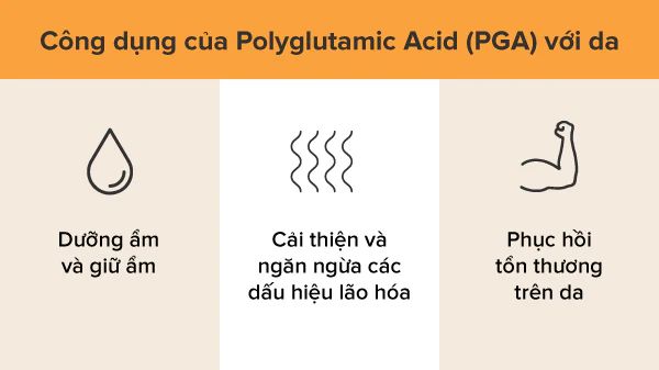 Polyglutamic acid thường có trong nhiều loại mỹ phẩm