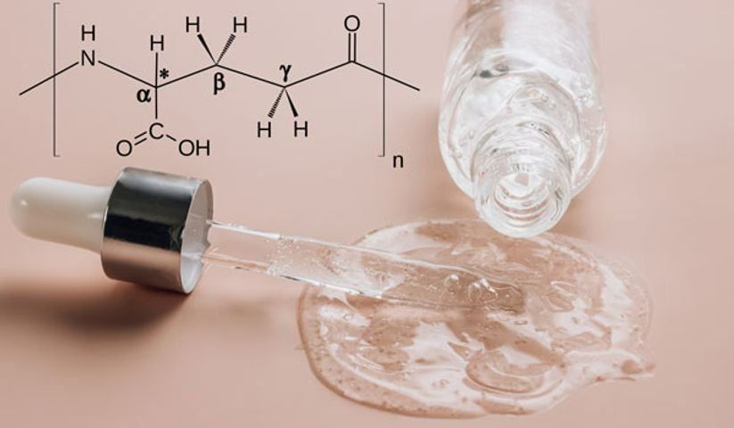 Polyglutamic acid hoạt động như thế nào trên da