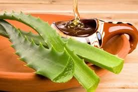 Thành phần nổi bật trong nha đam