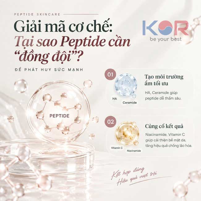 "Giải mã" cơ chế: Tại sao Peptide cần "đồng đội" để phát huy sức mạnh?